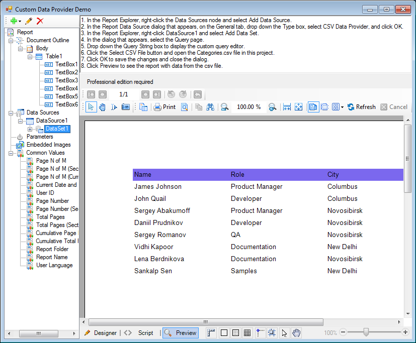 Custom Data Provider
