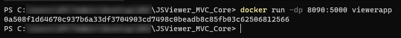 Console with the docker run command