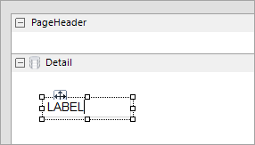 Label Section Report control in edit mode