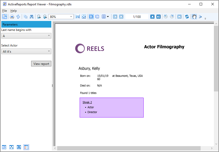 WPF Viewer Parameters Pane