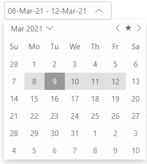 Date format set in the DateRangePicker control