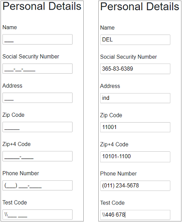Appearance of Masked TextBox at runtime after filling information.