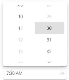 Set Clock Type