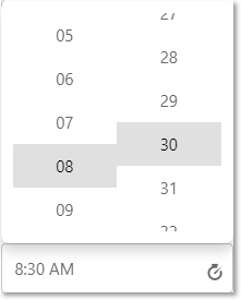 Styled TimeEditor control