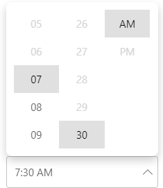 Set time span in TimeEditor control