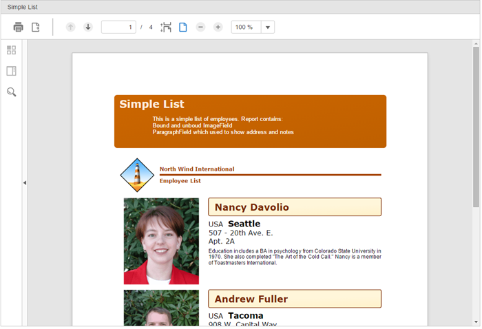 FlexViewer showing report