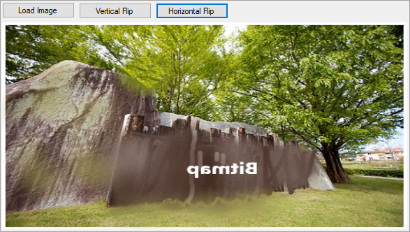 Horizontally flip an image using ComponentOne Bitmap for WinForms