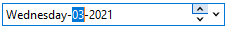 DateEdit with calendar ui with custom format dates
