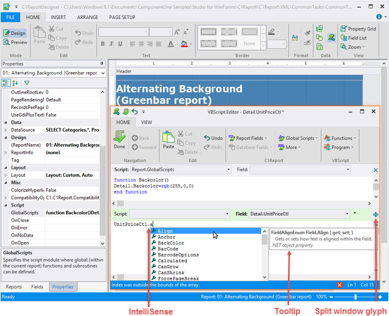 VBScript Editor in C1ReportDesigner