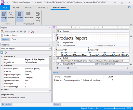 The Designer image of FlexReportDesigner.
