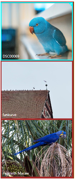 styled Listview control