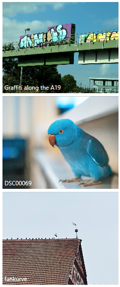 orientation in Listview