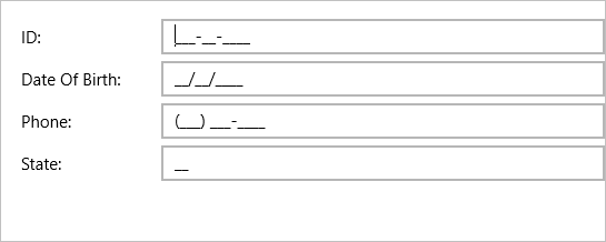 Input fields set using MaskedTextField control