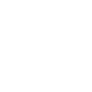 Validator